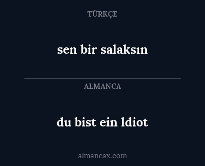 sen bir salaksın - du bist ein ldiot
