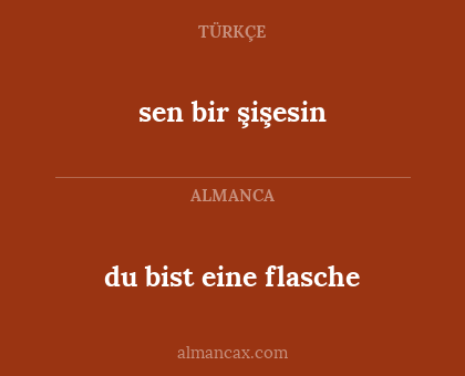 sen bir şişesin - du bist eine flasche
