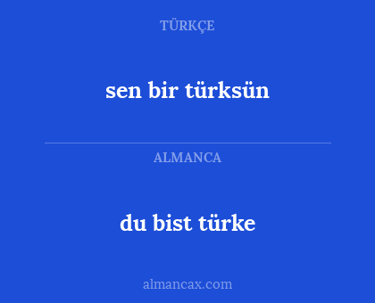 du bist türke - sen bir türksün