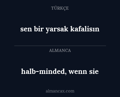 halb-minded, wenn sie - sen bir yarsak kafalisın
