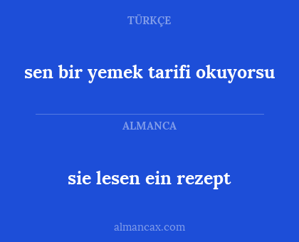 sie lesen ein rezept - sen bir yemek tarifi okuyorsu