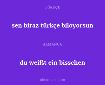 du weißt ein bisschen - sen biraz türkçe biloyorsun