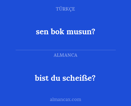 bist du scheiße? - sen bok musun?
