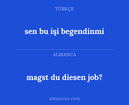 magst du diesen job? - sen bu işi begendinmi