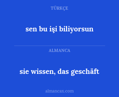 sie wissen, das geschäft - sen bu işi biliyorsun