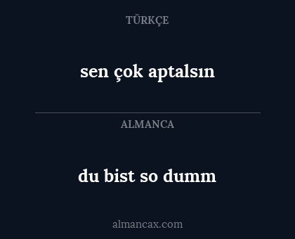 sen çok aptalsın - du bist so dumm