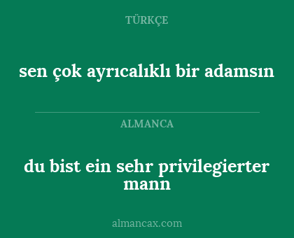 sen çok ayrıcalıklı bir adamsın - du bist ein sehr privilegierter mann