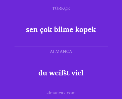 du weißt viel - sen çok bilme kopek