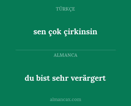 sen çok çirkinsin - du bist sehr verärgert