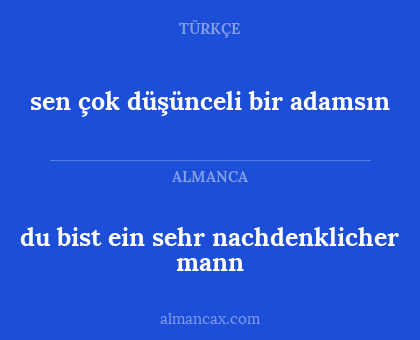 du bist ein sehr nachdenklicher mann - sen çok düşünceli bir adamsın