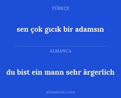 sen çok gıcık bir adamsın - du bist ein mann sehr ärgerlich
