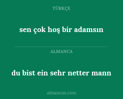 du bist ein sehr netter mann - sen çok hoş bir adamsın