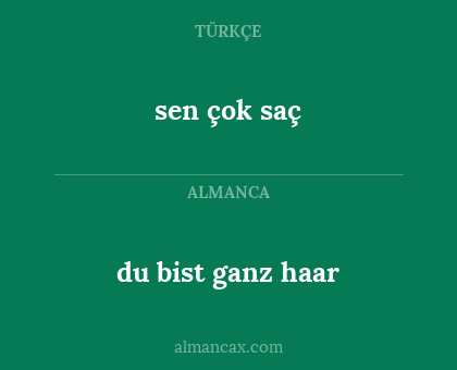 sen çok saç - du bist ganz haar