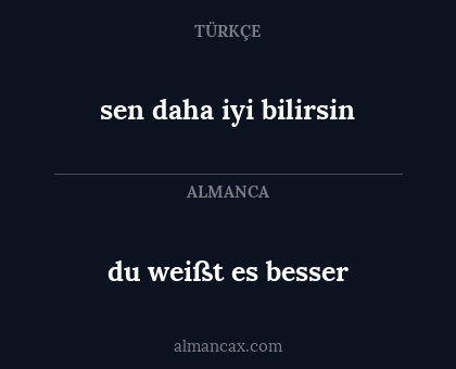sen daha iyi bilirsin - du weißt es besser