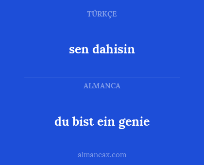 du bist ein genie - sen dahisin