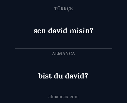 sen david misin? - bist du david?