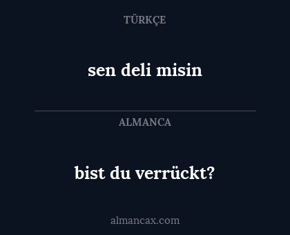 bist du verrückt? - sen deli misin