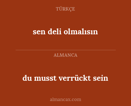 sen deli olmalısın - du musst verrückt sein