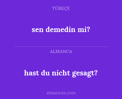 sen demedin mi? - hast du nicht gesagt?