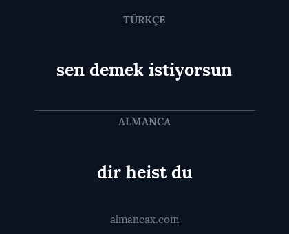 sen demek istiyorsun - dir heist du