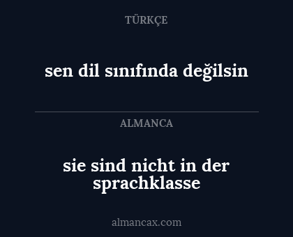 sen dil sınıfında değilsin - sie sind nicht in der sprachklasse