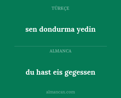 sen dondurma yedin - du hast eis gegessen