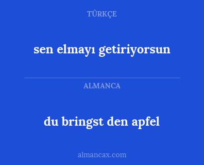 du bringst den apfel - sen elmayı getiriyorsun