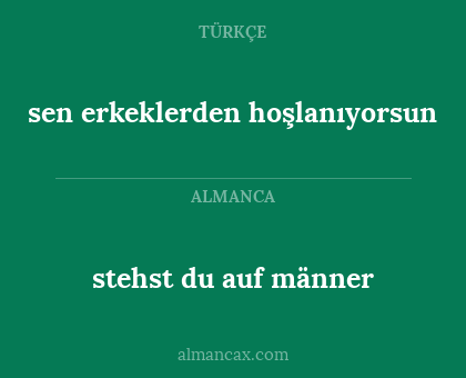 stehst du auf männer - sen erkeklerden hoşlanıyorsun