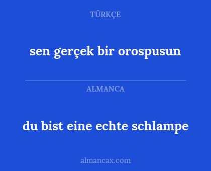 du bist eine echte schlampe - sen gerçek bir orospusun