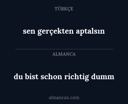sen gerçekten aptalsın - du bist schon richtig dumm