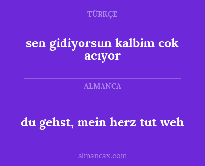 du gehst, mein herz tut weh - sen gidiyorsun kalbim cok acıyor