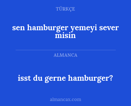 sen hamburger yemeyi sever misin - isst du gerne hamburger?