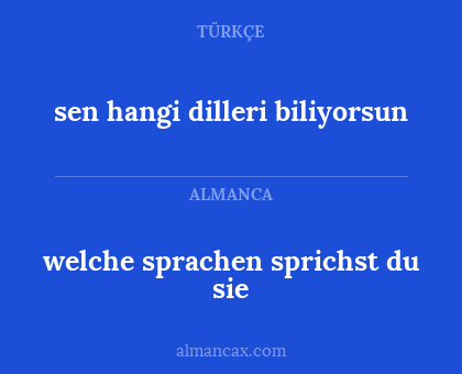 welche sprachen sprichst du sie - sen hangi dilleri biliyorsun