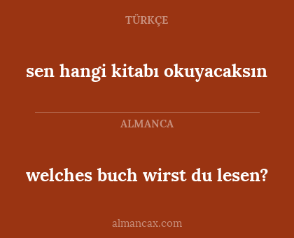 sen hangi kitabı okuyacaksın - welches buch wirst du lesen?