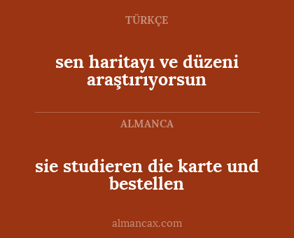 sen haritayı ve düzeni araştırıyorsun - sie studieren die karte und bestellen