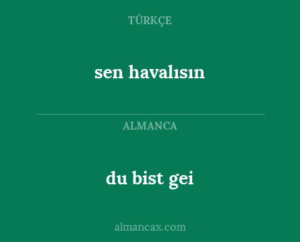 sen havalısın - du bist gei