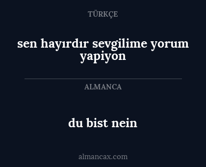 du bist nein - sen hayırdır sevgilime yorum yapiyon