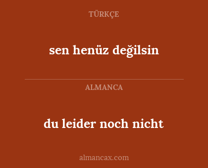 du leider noch nicht - sen henüz değilsin