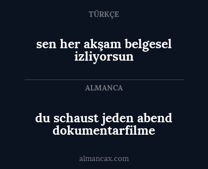 du schaust jeden abend dokumentarfilme - sen her akşam belgesel izliyorsun