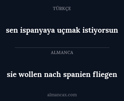 sie wollen nach spanien fliegen - sen ispanyaya uçmak istiyorsun
