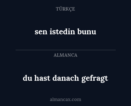 du hast danach gefragt - sen istedin bunu