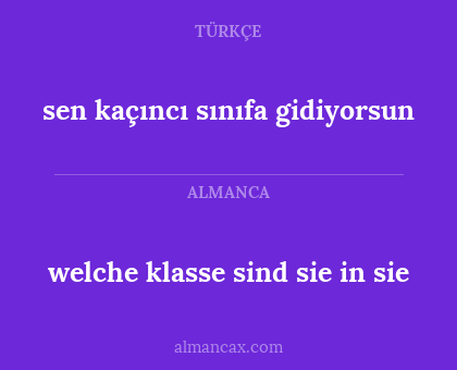 sen kaçıncı sınıfa gidiyorsun - welche klasse sind sie in sie
