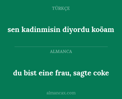 sen kadinmisin diyordu koöam - du bist eine frau, sagte coke