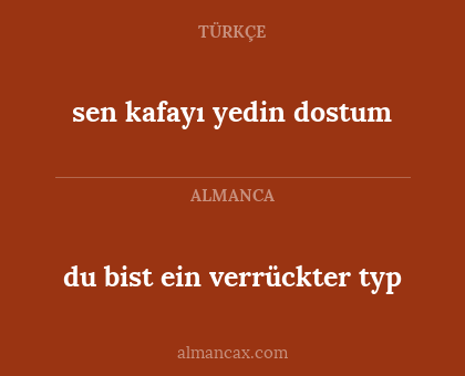 du bist ein verrückter typ - sen kafayı yedin dostum