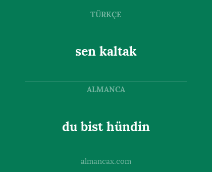 sen kaltak - du bist hündin