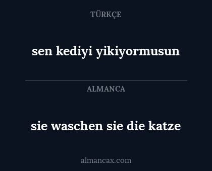 sie waschen sie die katze - sen kediyi yikiyormusun