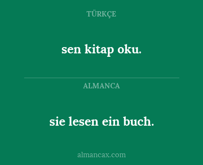 sie lesen ein buch. - sen kitap oku.