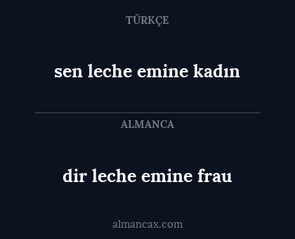 dir leche emine frau - sen leche emine kadın