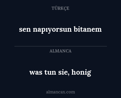 was tun sie, honig - sen napıyorsun bitanem