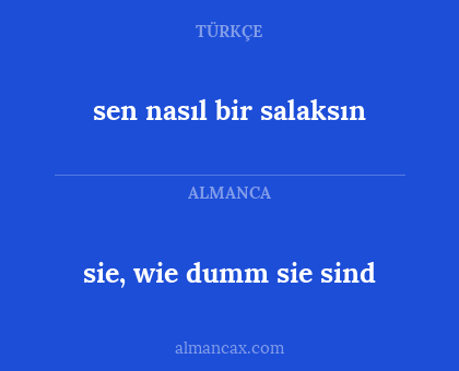 sie, wie dumm sie sind - sen nasıl bir salaksın